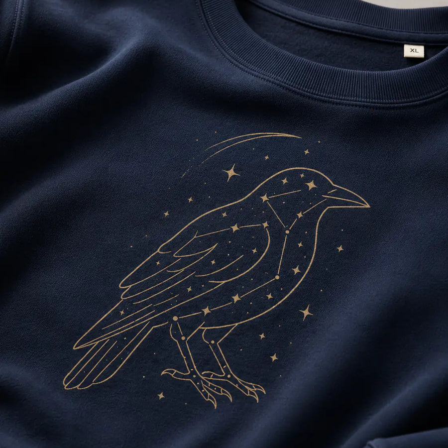 Crow and Constellations art 
