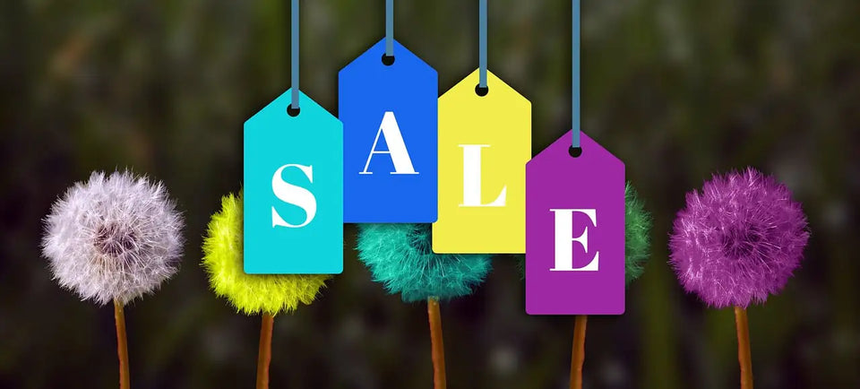 Summer Sale Hero Image