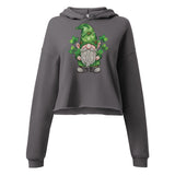 Lucky Gnome Cropped Hoodie in Storm color